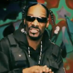 Snoop Dogg ft T-Pain - Boom　[Official Music Video]
